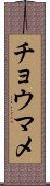 チョウマメ Scroll
