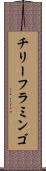 チリー・フラミンゴ Scroll