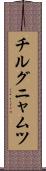 チルグニャムツ Scroll