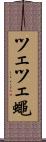 ツェツェ蠅 Scroll