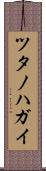 ツタノハガイ Scroll