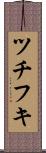 ツチフキ Scroll
