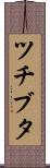 ツチブタ Scroll