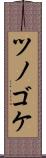 ツノゴケ Scroll