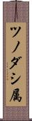 ツノダシ属 Scroll