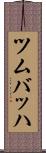 ツムバッハ Scroll