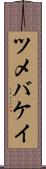 ツメバケイ Scroll