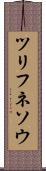 ツリフネソウ Scroll