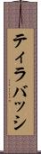 ティラバッシ Scroll