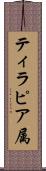 ティラピア属 Scroll