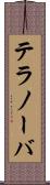 テラノーバ Scroll