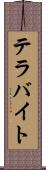 テラバイト Scroll