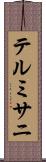 テルミサニ Scroll