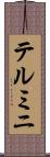 テルミニ Scroll