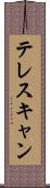テレスキャン Scroll