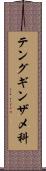 テングギンザメ科 Scroll