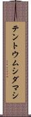 テントウムシダマシ Scroll