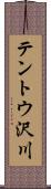 テントウ沢川 Scroll