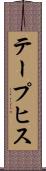 テープヒス Scroll