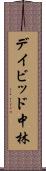 デイビッド中林 Scroll