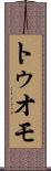 トゥオモ Scroll