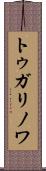 トゥガリノワ Scroll