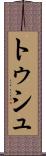 トゥシュ Scroll