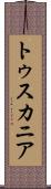 トゥスカニア Scroll