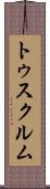 トゥスクルム Scroll