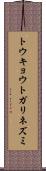 トウキョウトガリネズミ Scroll