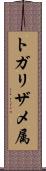 トガリザメ属 Scroll