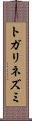 トガリネズミ Scroll