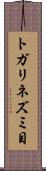 トガリネズミ目 Scroll