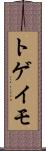 トゲイモ Scroll
