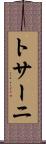 トサーニ Scroll