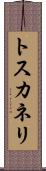 トスカネリ Scroll