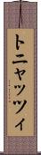 トニャッツィ Scroll