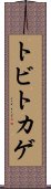 トビトカゲ Scroll