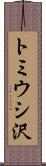 トミウシ沢 Scroll