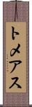 トメアス Scroll