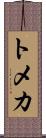 Tomeka Scroll