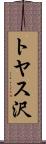 トヤス沢 Scroll