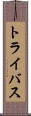 トライバス Scroll