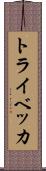 トライベッカ Scroll