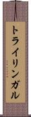 トライリンガル Scroll