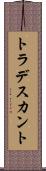 トラデスカント Scroll