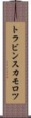 トラビンスカモロツ Scroll