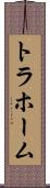トラホーム Scroll