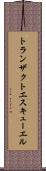 トランザクトエスキューエル Scroll