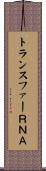 トランスファーＲＮＡ Scroll
